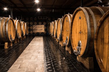 Winery tour with Barolo tasting at Michele Chiarlo Winery